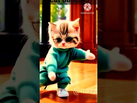 Cat dancing # viral # trending #cat dancing #ai cat dancing