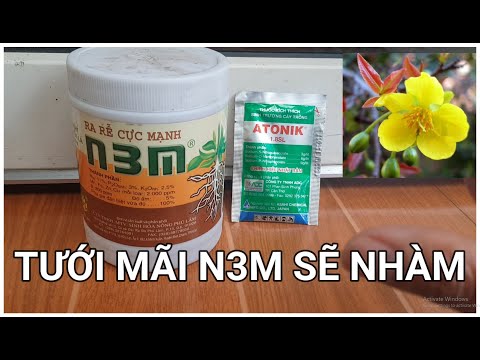 🔴 QBS2168 - WHEN YOU GET BORED WITH MAI TREE N3M, ATONIK SHOULD BE ADDED TO STIMULATE THE PLANT T...