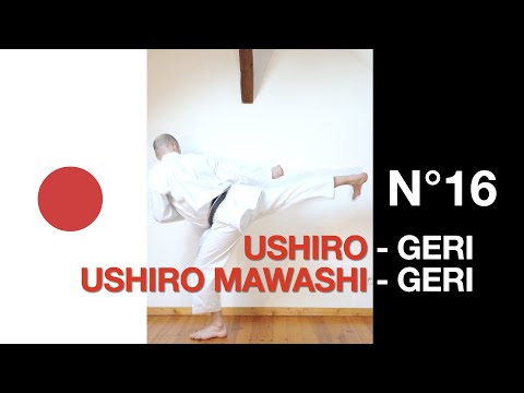 JKA Karaté training : USHIRO GERI et USHIRO MAWASHI GERI SHOTOKAN KARATE DO vidéo n°16