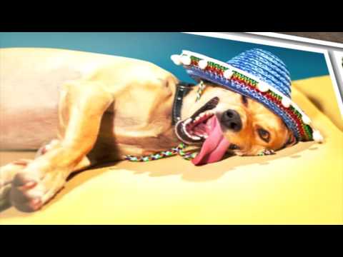 Alex M.O.R.P.H. & Paul van Dyk - We Are (Original Mix)