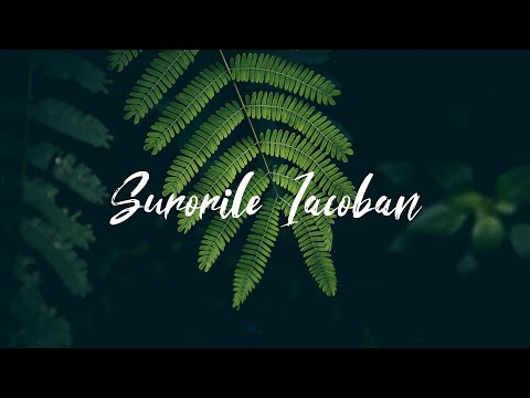 Surorile Iacoban - Ochii Domnului