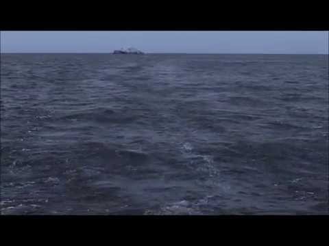 download lagu mp3 mp4 Ghost Pony Yakuzai Ghost Pony Yakuzai Split, download mp3 Ghost Pony Yakuzai Ghost Pony Yakuzai Split free download, download mp3 Ghost Pony Yakuzai Ghost Pony Yakuzai Split