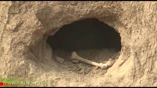 Исторические находки обнаружены строителями  автострады в Бачи-Юрте 