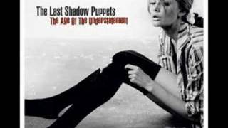 The Last Shadow Puppets - My Mistakes Were Made For You