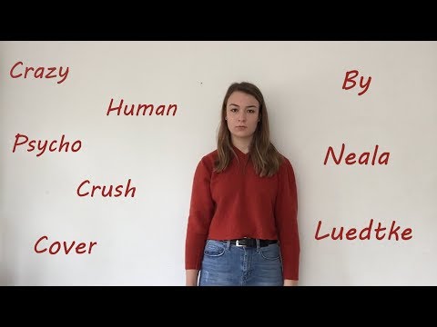 ~crazy human psycho crush~ cover