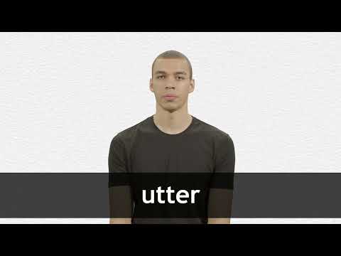 UTTER definition and meaning | Collins English Dictionary