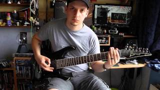 Delain Here Comes The Vultures Rhythm Guitar Cover