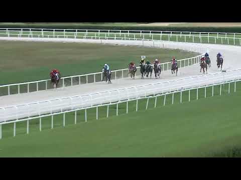 2019.05.19. 02. futam - ARÉNA DÍJ (V.kat.) (szintetikus pálya)