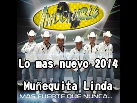 INDOMABLE DE CHIHUAHUA-MUÑEQUITA LINDA 2014