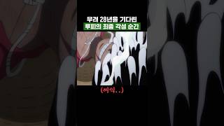 원피스) 무려 28년을 기다린 루피의 최종 각성 순간