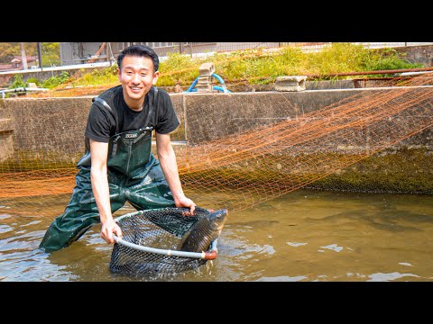 Japanese Kitchen Tour