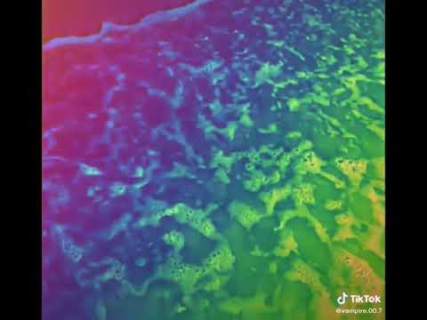 Bye Bye 2019 Bhouut yad aye gi...❤❤