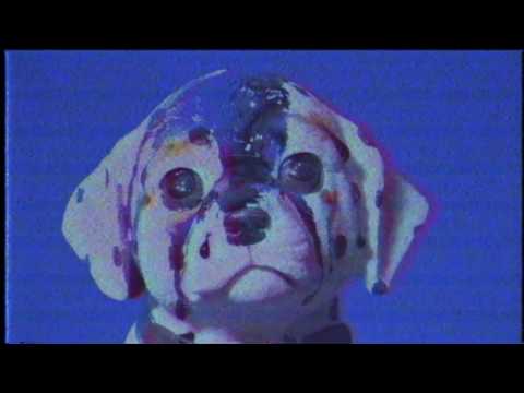 Dorsal Fins - Sedated (Offical Music Video)