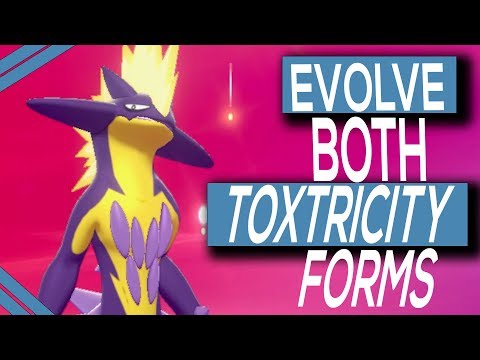 How To Evolve Toxel Into Both Forms In Pokemon Sword & Shield