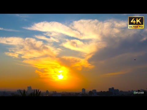 Calm Morning Horizon | Breathtaking Sunrise Timelapse in 4K