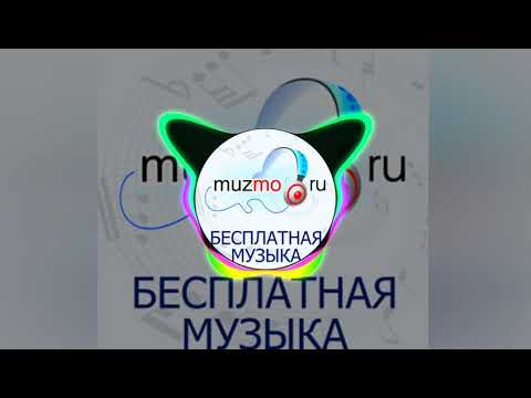 Sanni (В деле торпеды басс)