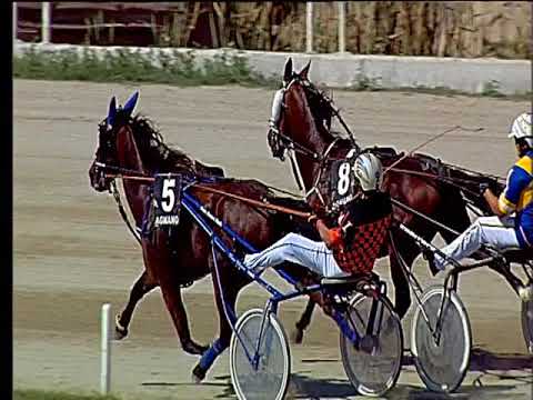 Trotto 21/06/2018 - 3ª corsa