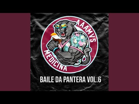 Baile da Pantera Vol. 6