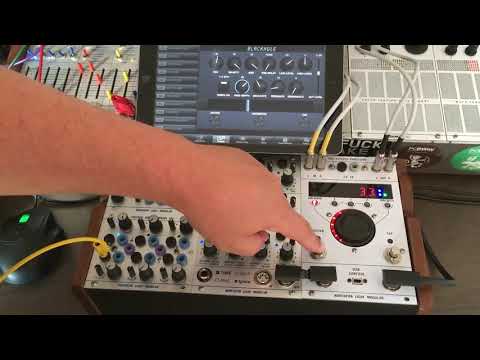 Northern Light Modular EvenMidi [Buchla Compatible] image 2