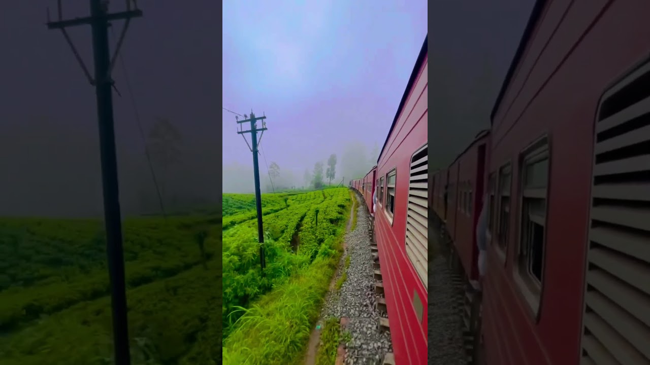 YouTube Short thumbnail