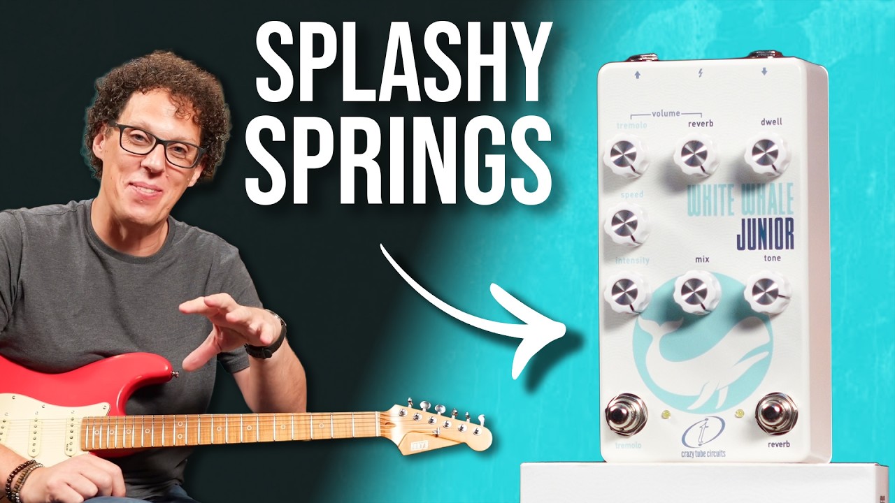 Genuine Spring Reverb for your Pedalboard - White Whale jr - YouTube