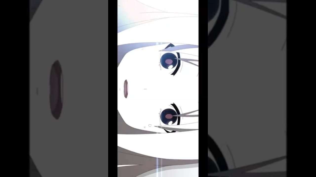 アマガサ - ｢花は桜木、人は君｣