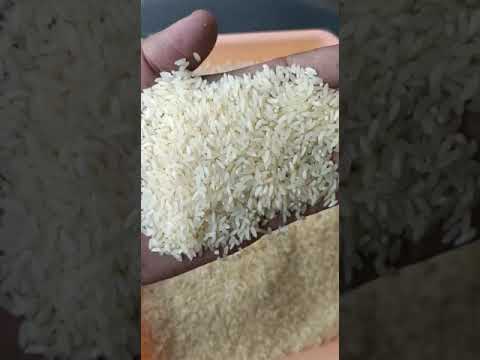 Sona masoori raw non basmati rice (1 year old), 30 kg