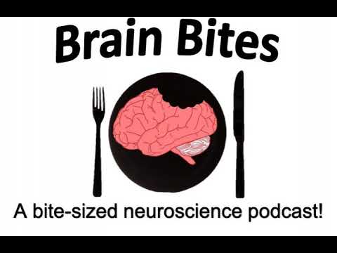 Neuroscience of Illusions!