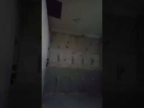 Bên trong nhà yến mới đưa vào hoạt động tại Chợ Lầu