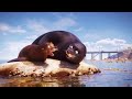 Finding Dory Sea Lions Fluke And Rudder Talk About Dory