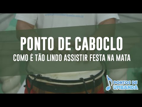 Capa do vídeo: Como é tão lindo assistir festa na mata