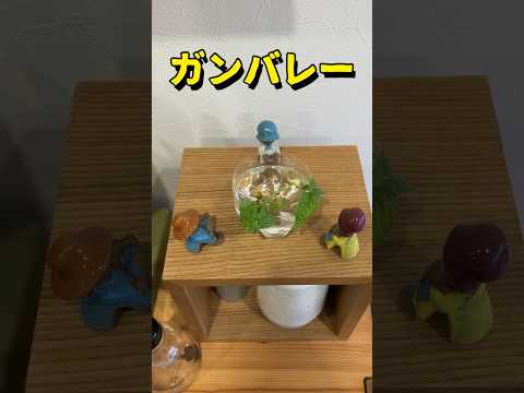 オシマム・バシカム