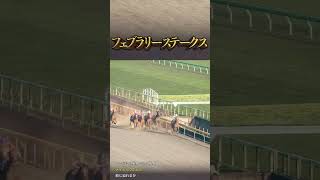 1993年 フェブラリーステークス【クノサントウショウ】 | #kunohen (#Twitch)