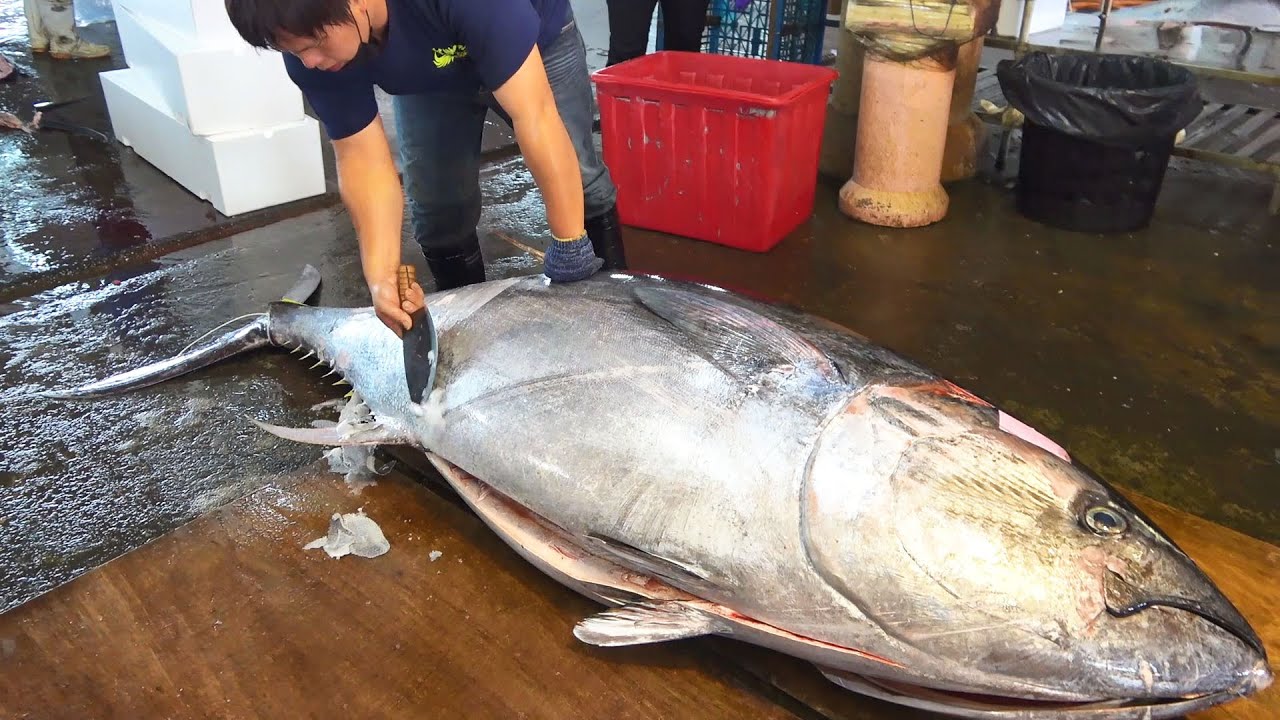 Amazing 305kg Super-Giant Bluefin Tuna Cut in less 5 minutes