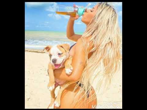 cante junto com andressita                  #bragafunk #tropaneiff #funk #karoke