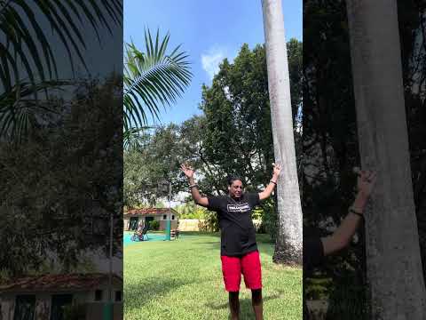 1010 Shaman Portal Dance 🕺 Celebration ❤️💰🦁🦍🔥👑#selfconfidence #superstar #selfaccountability