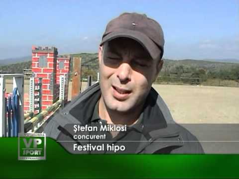 Festival hipo