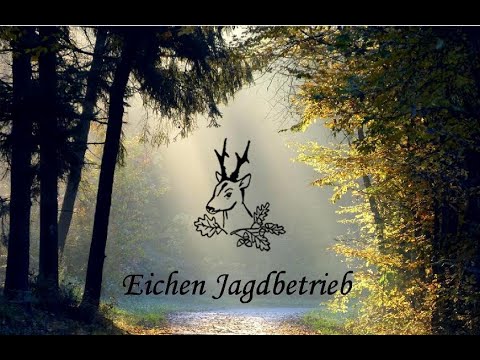 Bockjagd im Mai ... und warum Jagen wir?