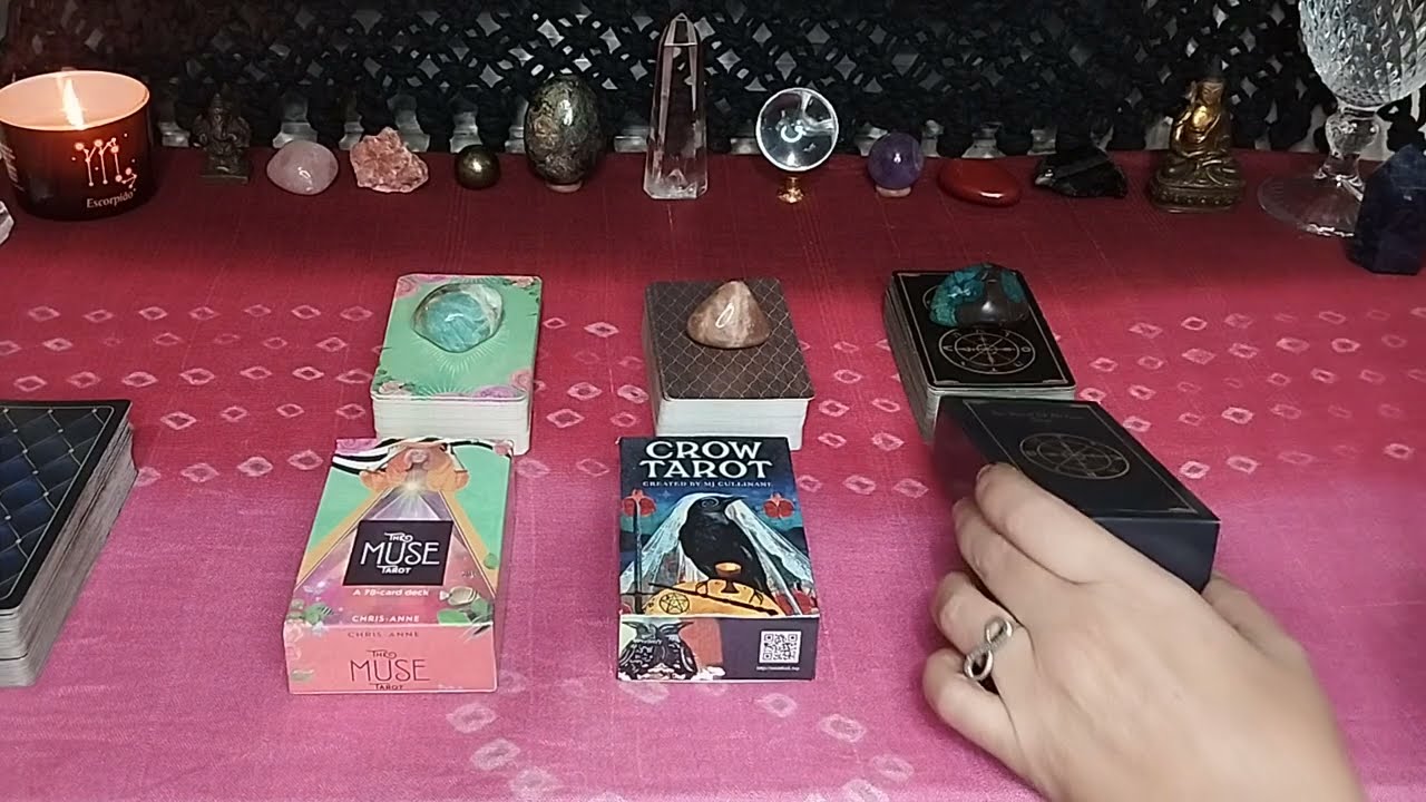 🌹❤️ TEM NOVO AMOR CHEGANDO? 🌺💖#tarot #cartascigana #divination #oraculo