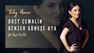 Tülay Maciran - Dost Cemalin Benzer | Türkü Trap Remix