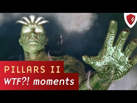 6 WTF?! moments in Pillars of Eternity II: Deadfire