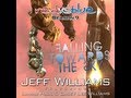 Falling Toward the Sky by Jeff Williams 10 Hours ...