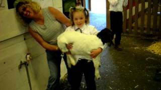 preview picture of video 'Goat and little girl at Stevenson WA. Skamania Fair'