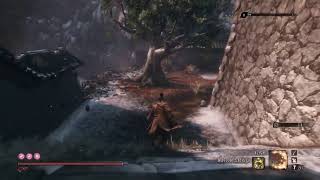 PS5でSEKIRO（2k60P)　さらなる苦難で４周目