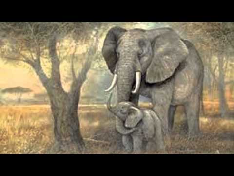 Saint Saens: Carnival of the Animals~L'Elephant (The Elephant)