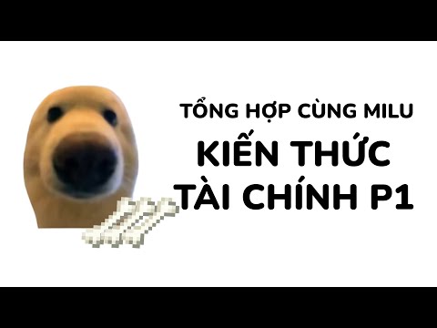 TỔNG HỢP KIẾN THỨC TÀI CHÍNH CÙNG MILU P1 | ĐỘNG VẬT HỌC TÀI CHÍNH