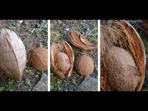 Gosti - Nazi kachindana na bwe(Foumbouni)