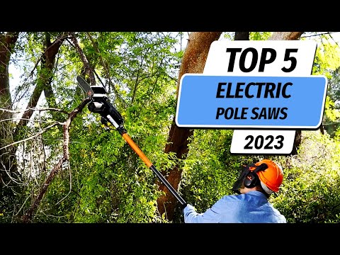 Top 5 Best Electric Pole Saws You Can Buy Right Now [2023]