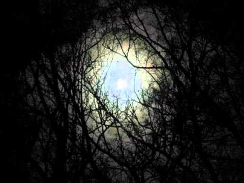 Moonglow Lamp Low ~ Eleni Mandell