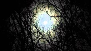 Moonglow Lamp Low ~ Eleni Mandell